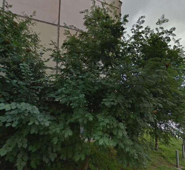 Банкомат Сбербанка России по адресу ул. Свечникова,  1