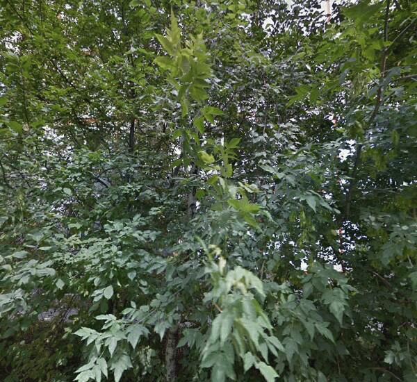 Банкомат Сбербанка России по адресу ул. Трикотажная,  д. 62