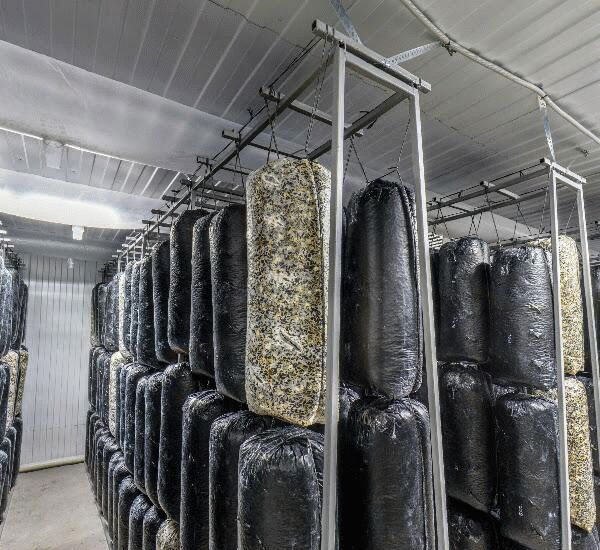 Банкомат Сбербанка России по адресу ул. Героев Революции,  10