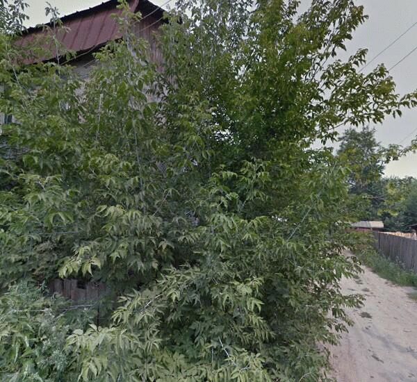 Банкомат Сбербанка России по адресу ул. Ломоносова, д. 11, Обской рынок