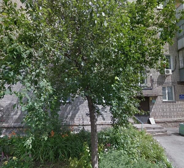 Отделение Почта Банка по адресу ул. Ленинградская,  д. 100